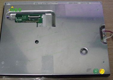 8,0 panel LCD agudo de la pulgada LQ080V3DG01 normalmente blanco con 162.24×121.68 milímetro