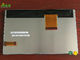 El panel de exhibición AGUDO del LCD LQ080T5DL01 8,0 pulgadas nuevas y de original