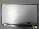 Panel LCD N101LGE-L11 de Innolux de 10,4 pulgadas con área activa de 222.72×125.28 milímetro