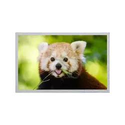 Módulo de la exhibición de la revolución C4/de la revolución C6 TFT LCD del panel LCD 800*600 G121S1-L02 de 12,1 pulgadas AUO