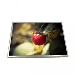 Módulo de TFT LCD de los liendres de la pulgada 800x600 500 del panel LCD 12,1 de G121SN01 V403 AUO